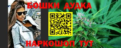 шишки Партизанск